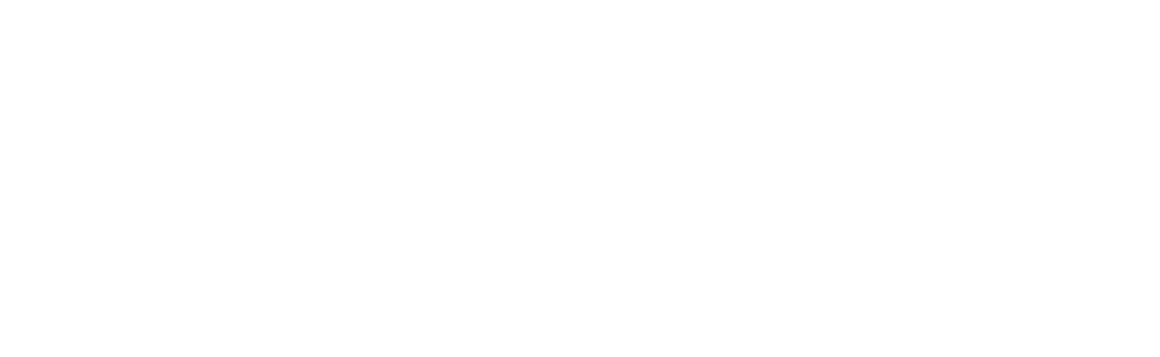 FOTON CZ